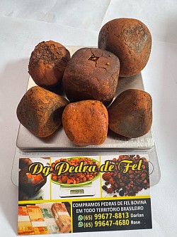 Pedra de fel de boi