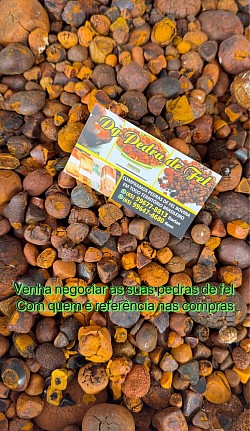 Pedra fel