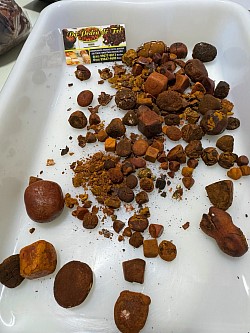 Pedra de fel