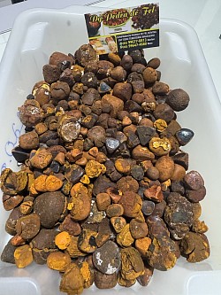 Lote de pedra de fel