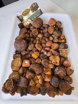 Pedra de fel