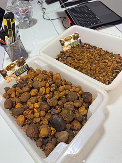 Pedras do fel valem mais que ouro