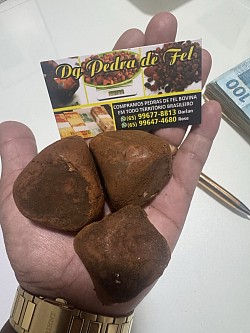 Compramos pedra de fel